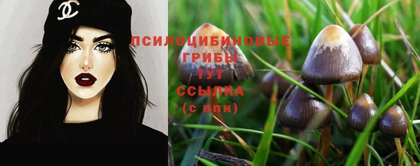 героин Алзамай